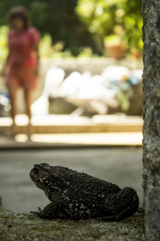 Moinho Do Prado